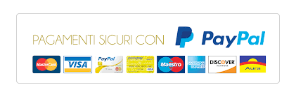 pagamenti sicuri con pay pal